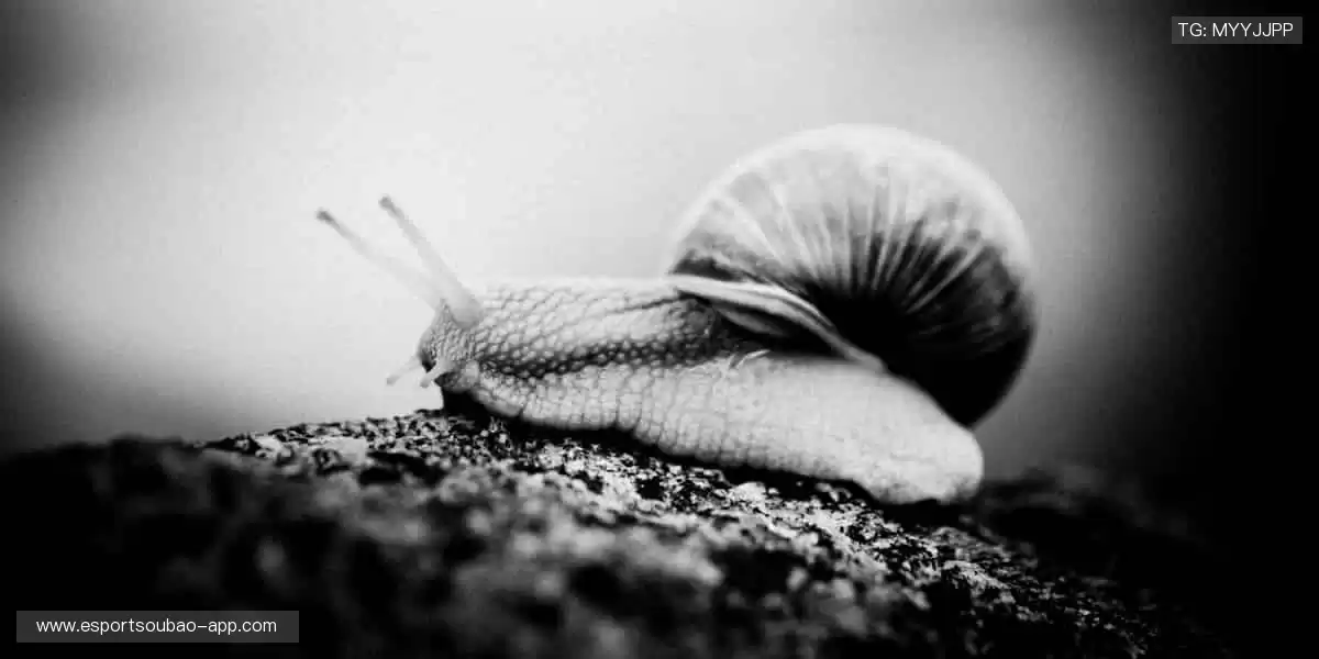 超清画质,无延迟体验,让你身临其境!📡🎮